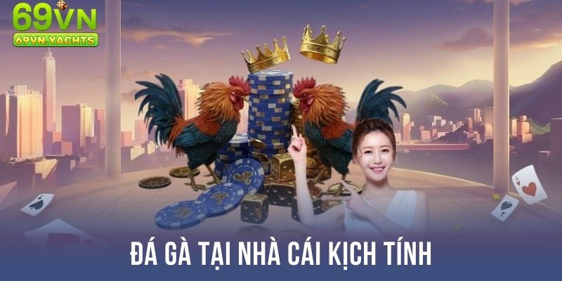 Đá gà tại nhà cái kịch tính